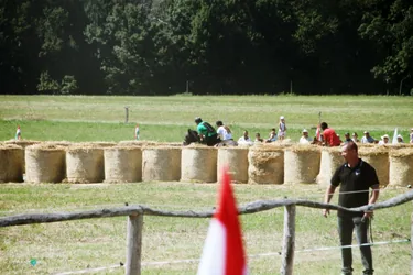 Bakonyi Vágta 2019