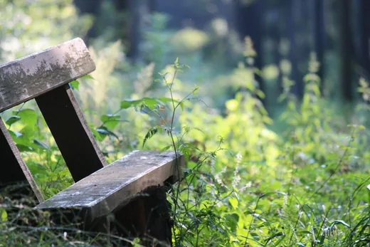 'Föld Napja' cikk borítóképe