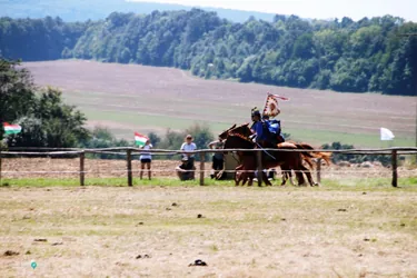 Bakonyi Vágta 2019