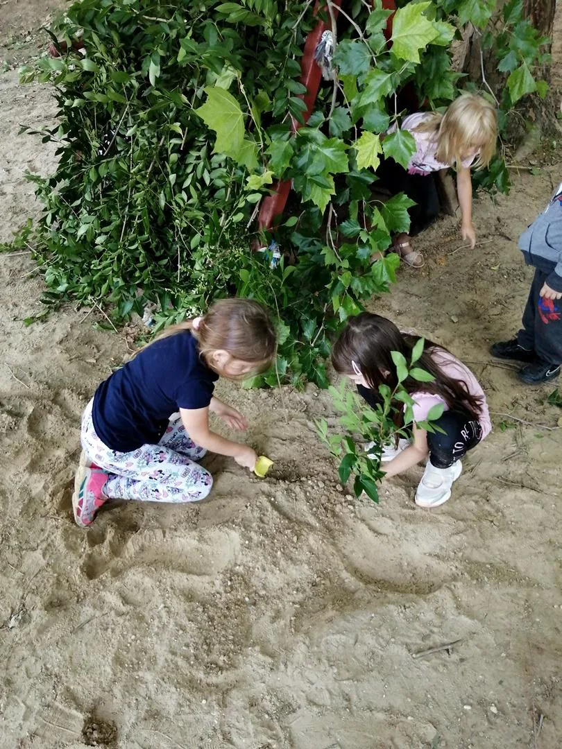 Nyári pillanatképek