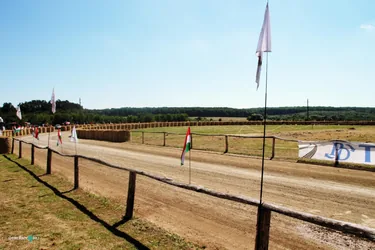 Bakonyi Vágta 2019