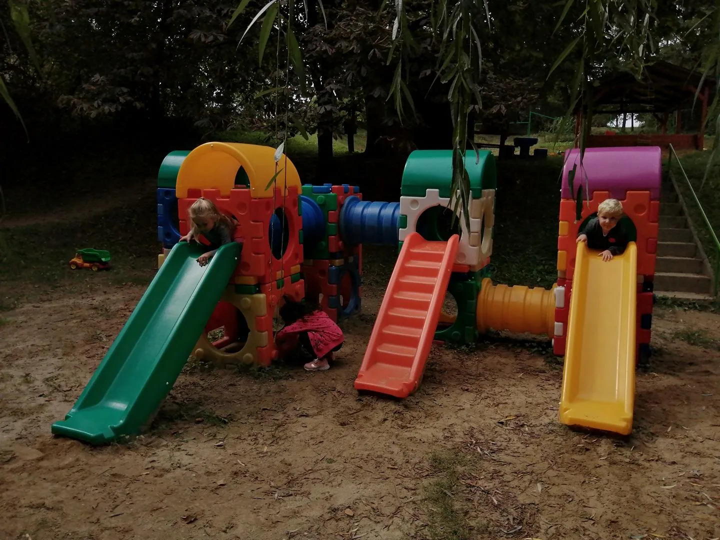 Nyári pillanatképek