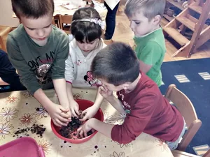 Madarak etetése télen