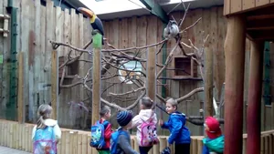 2019 Állatkertben Kirándultunk