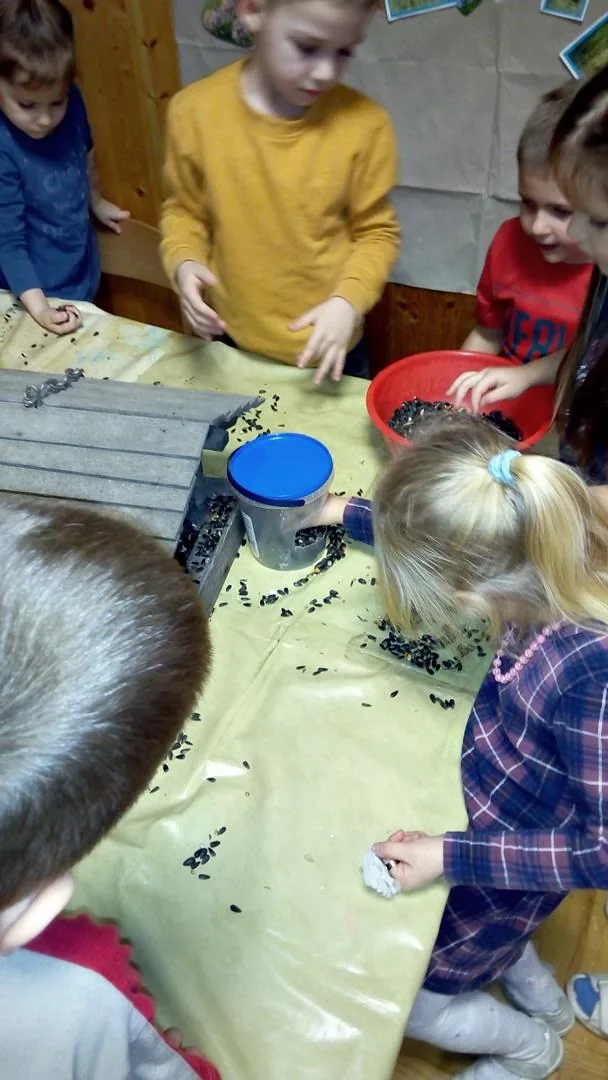 Madárbarát óvoda lettünk