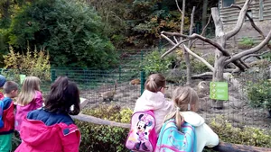 2019 Állatkertben Kirándultunk