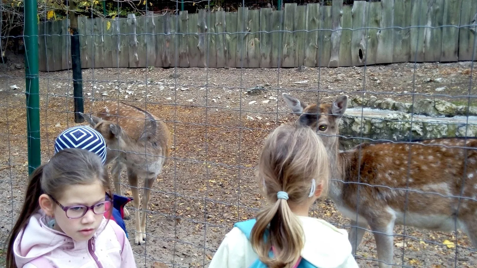 2019 Állatkertben Kirándultunk