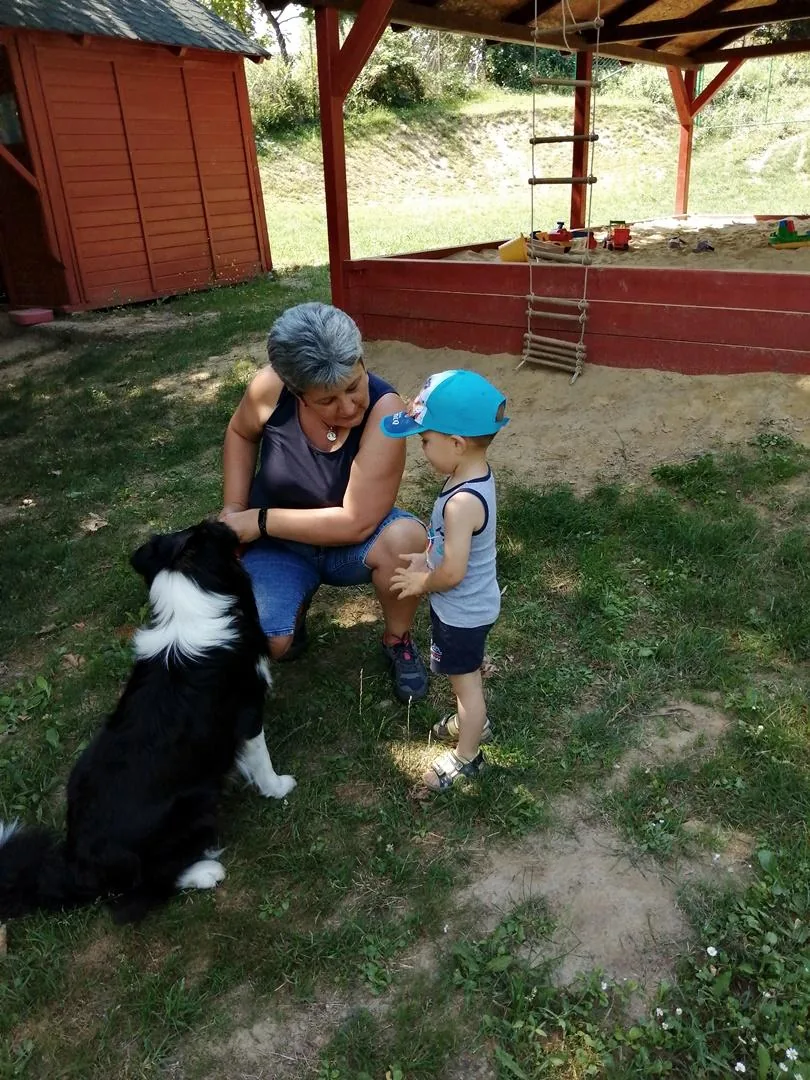 Nyári pillanatképek