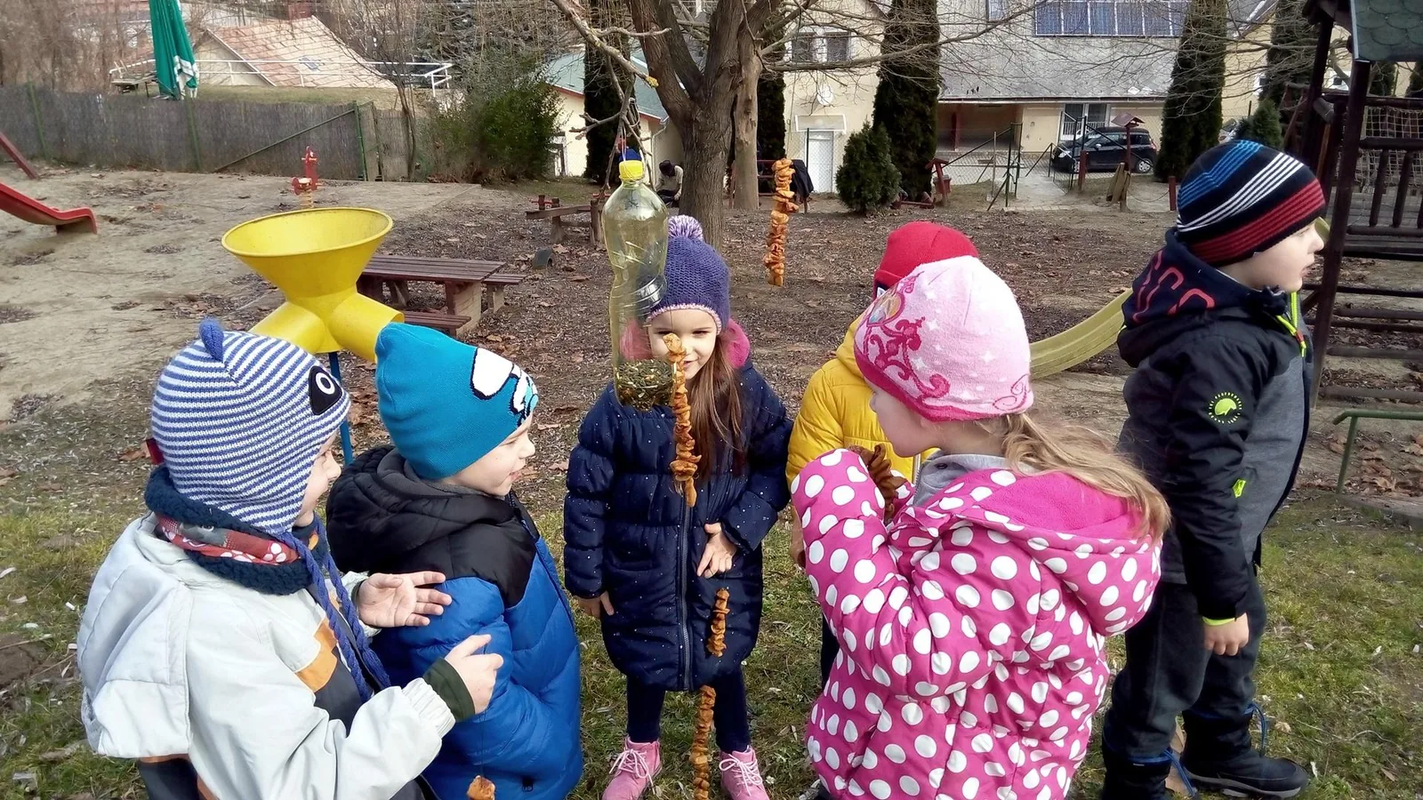 Madárbarát óvoda lettünk