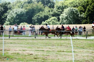 2019 Bakonyi Vágta. Fotók: Útirány.hu