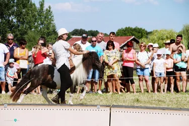 Bakonyi Vágta 2019