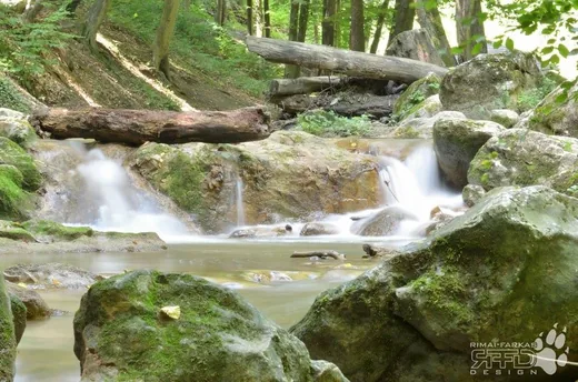 'Római Fürdő' cikk borítóképe