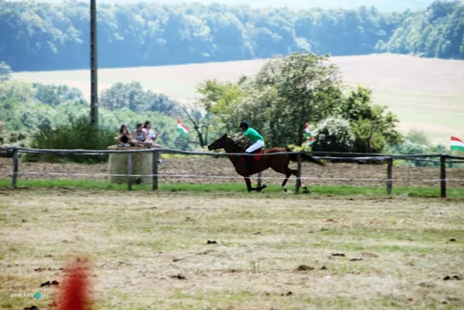 'Bakonyi Vágta 2019' cikk borítóképe