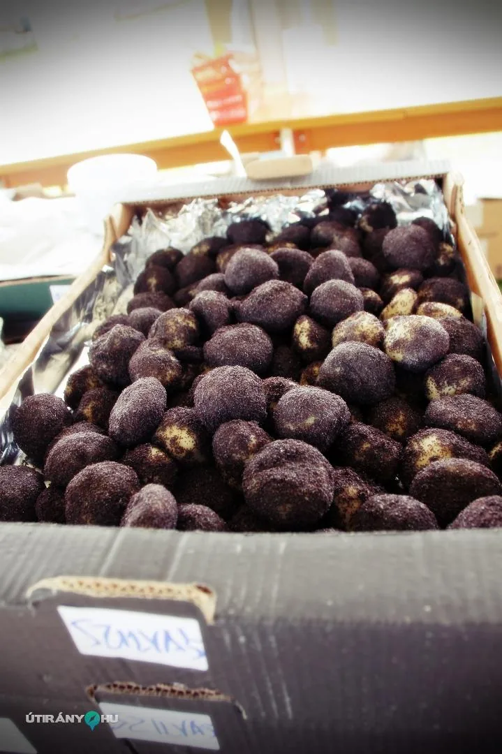 Gombócfesztivál 2019. / Fotók: Útirány.hu