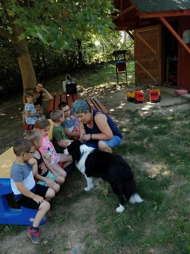 Nyári pillanatképek