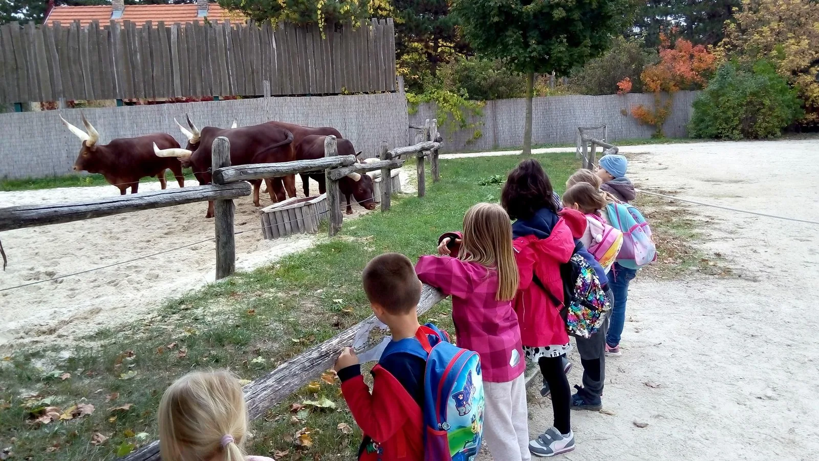 2019 Állatkertben Kirándultunk