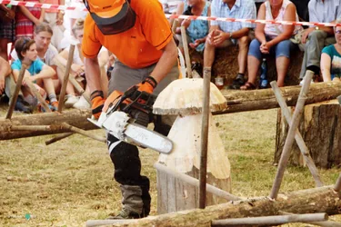 Bakonyi Vágta 2019