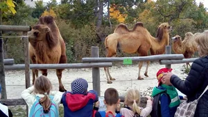 2019 Állatkertben Kirándultunk