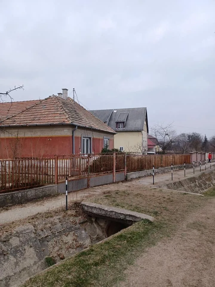 Fenyő és nyárfák kivágása kosaras autóval, alpintechnikával és csörlő segítségével