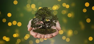 Tájékoztatás védetté nyilvánítási eljárásról borítóképe