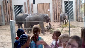 2019 Állatkertben Kirándultunk