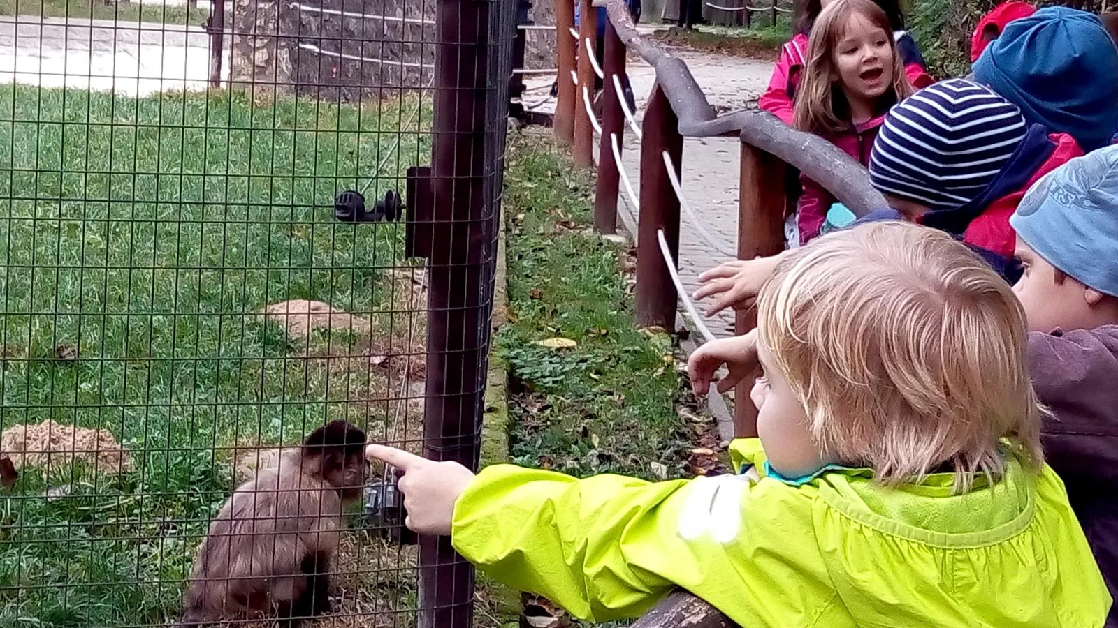 2019 Állatkertben Kirándultunk