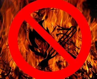 Tűzgyújtási tilalom Magyarország egész területén! borítóképe