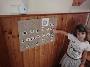 Zöldséghét az óvodában