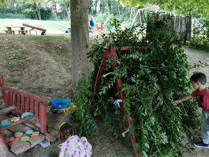 Nyári pillanatképek