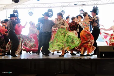 Bakonyi Vágta 2019