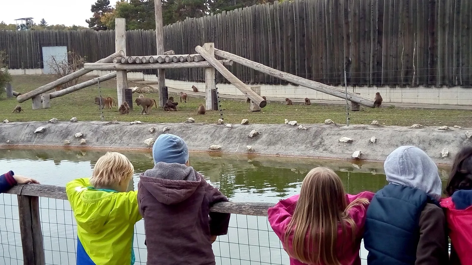 2019 Állatkertben Kirándultunk