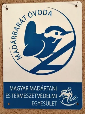 Madárbarát óvoda lettünk