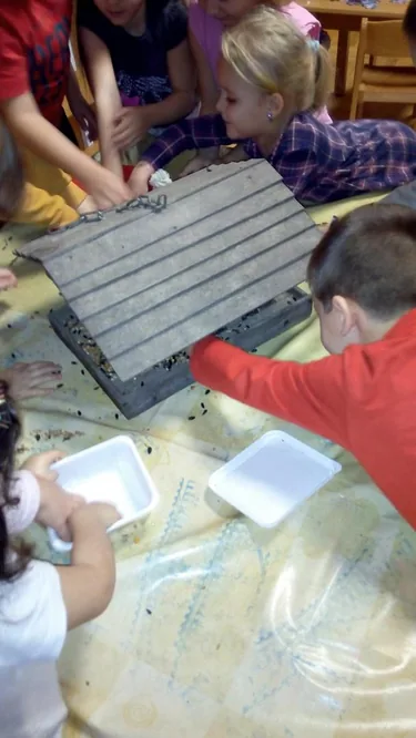 Madárbarát óvoda lettünk