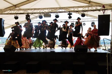 Bakonyi Vágta 2019