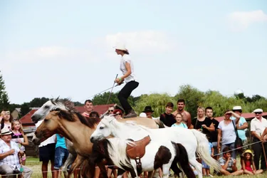 Bakonyi Vágta 2019