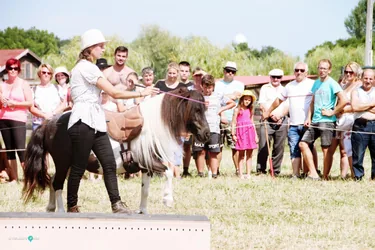 Bakonyi Vágta 2019