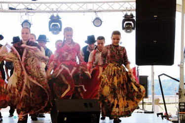 Bakonyi Vágta 2019