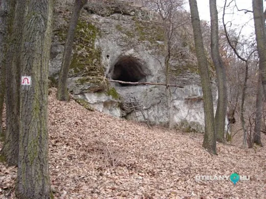 'Csapóné Konyhája Barlang' cikk borítóképe