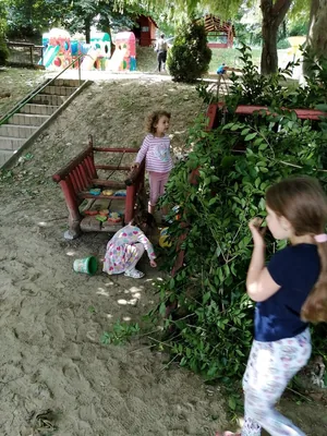 Nyári pillanatképek