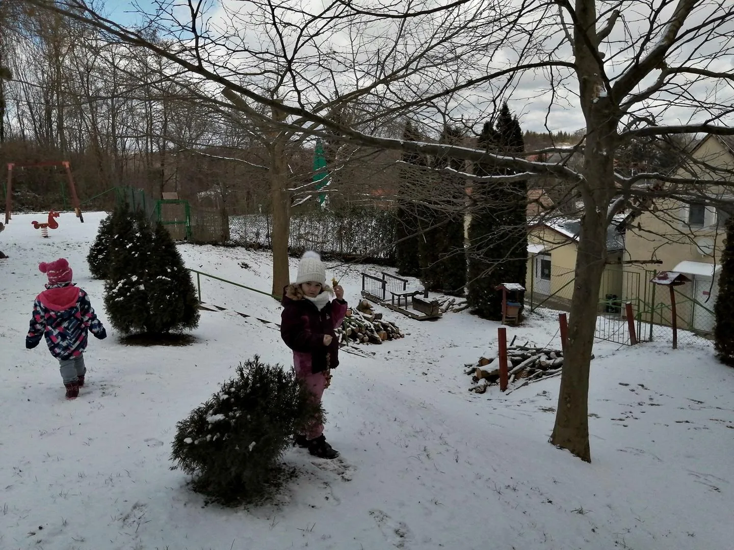 Madarak etetése télen