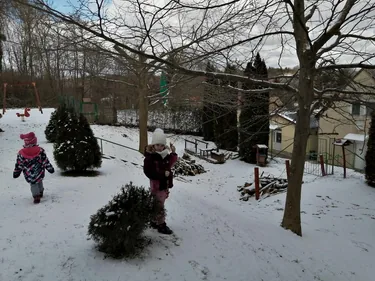 Madarak etetése télen