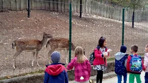 2019 Állatkertben Kirándultunk