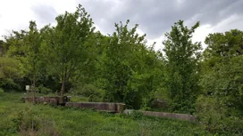 Vüllö-hegyi Négy Vályú forrás borítóképe