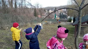 Madárbarát óvoda lettünk