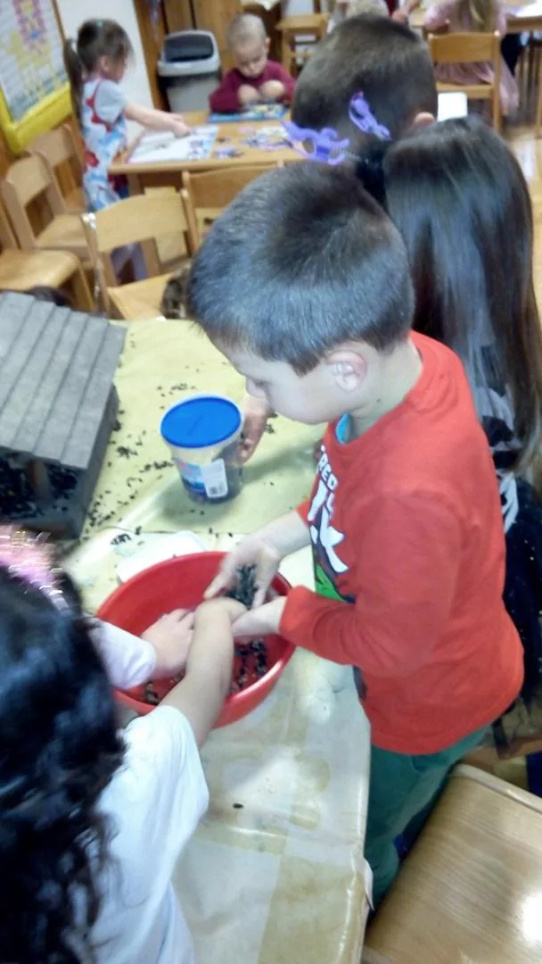 Madárbarát óvoda lettünk