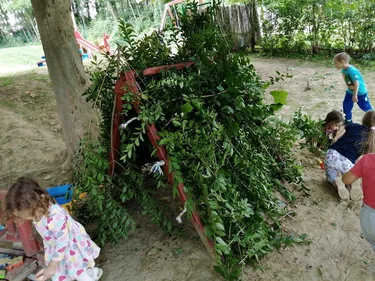 Nyári pillanatképek