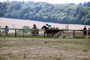 2019 Bakonyi Vágta. Fotók: Útirány.hu