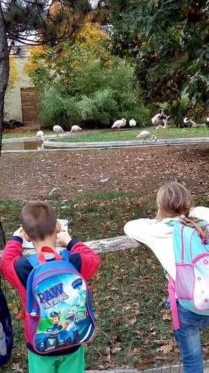 2019 Állatkertben Kirándultunk