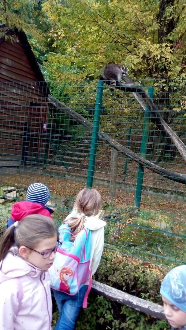 2019 Állatkertben Kirándultunk