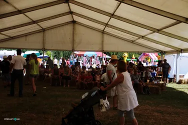 Bakonyi Vágta 2019